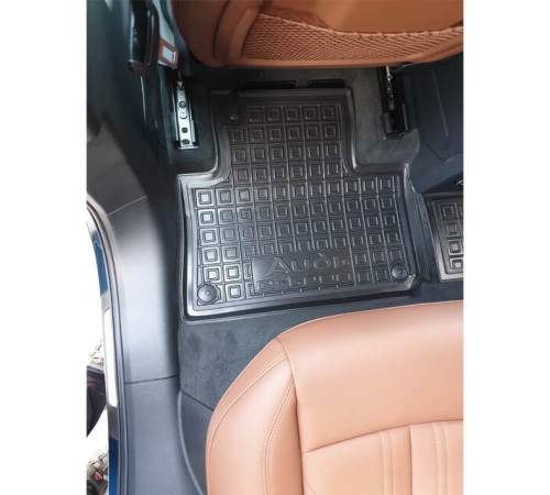 Килимки в салон Audi e-tron 55 quattro 2018+ (Avto-Gumm)