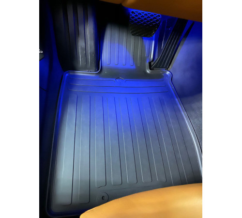 Гумові килимки в салон BMW 7 (G11) 2015-2019 (Stingray)