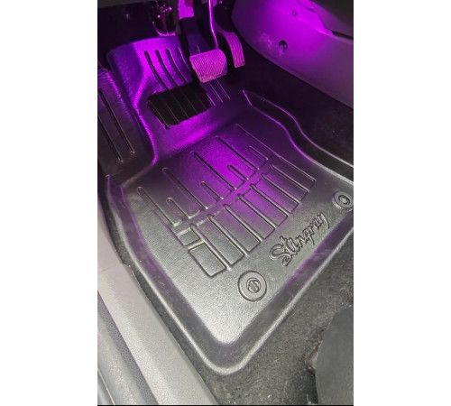 Гумові 3D килимки Ford Focus II (C307) 2004-2011 (Stingray)