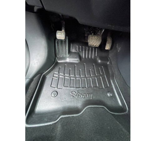 Резиновые 3D коврики Nissan Leaf (ZE0) 2010-2017 (Stingray)