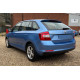 Автомобільні бризговики Skoda Rapid 2012-2017 Spaceback универсал (Surtep)