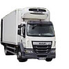 DAF LF